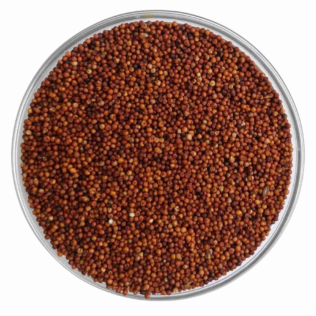 Finger millet single  clean
