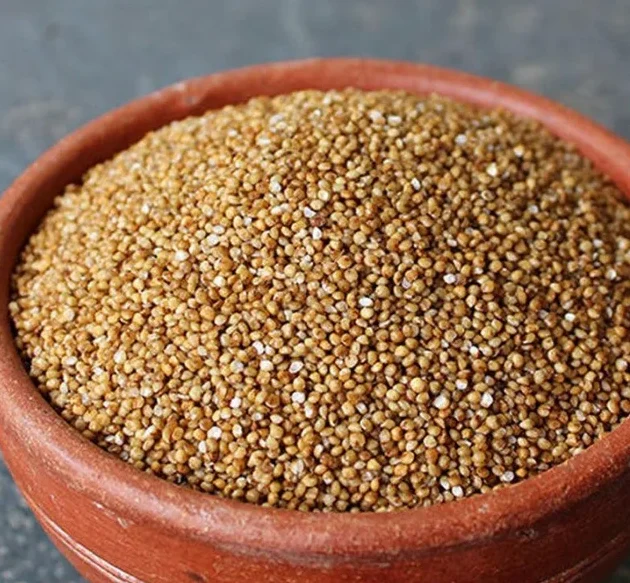 KODO millet boiled