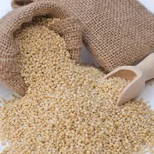 Proso millet 
